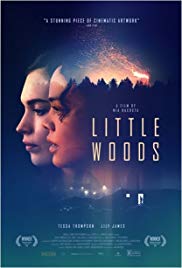 فيلم Little Woods 2018 مترجم