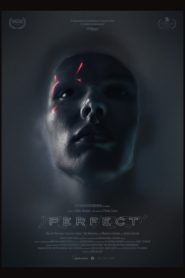 فيلم Perfect 2019 مترجم